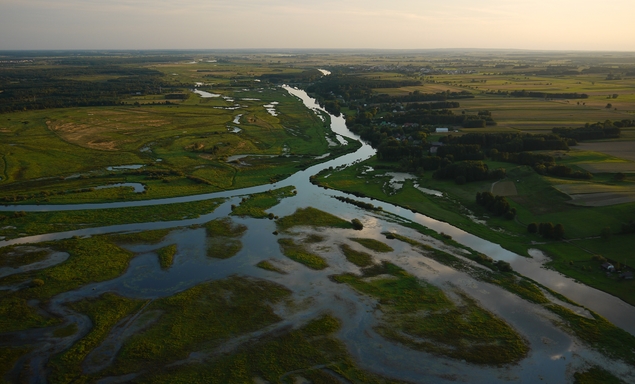Narew con il giusto affluente del Biebrza