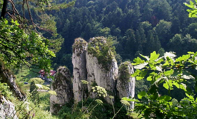 Mano bianca del parco nazionale di Ojców